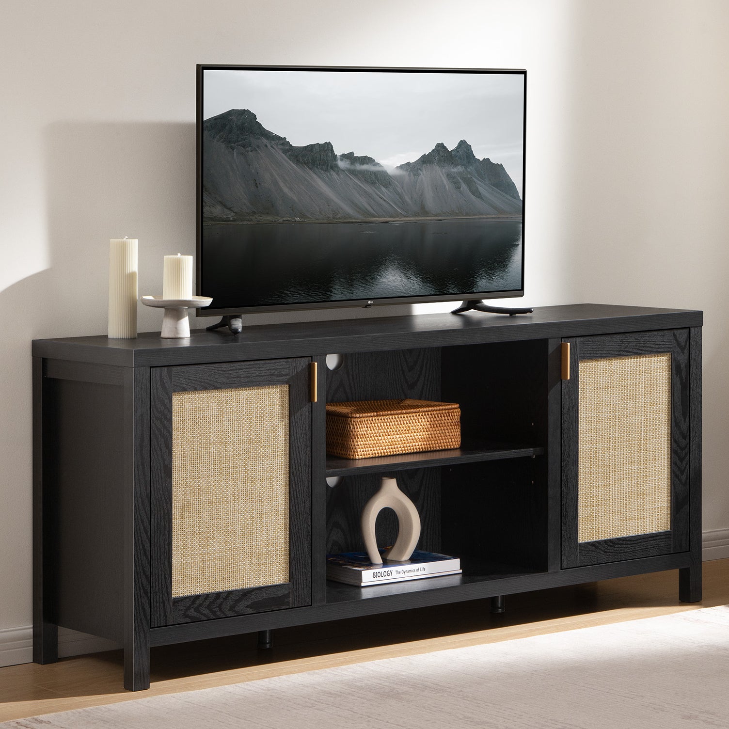 Savanna Black TV Stand - Sicotas