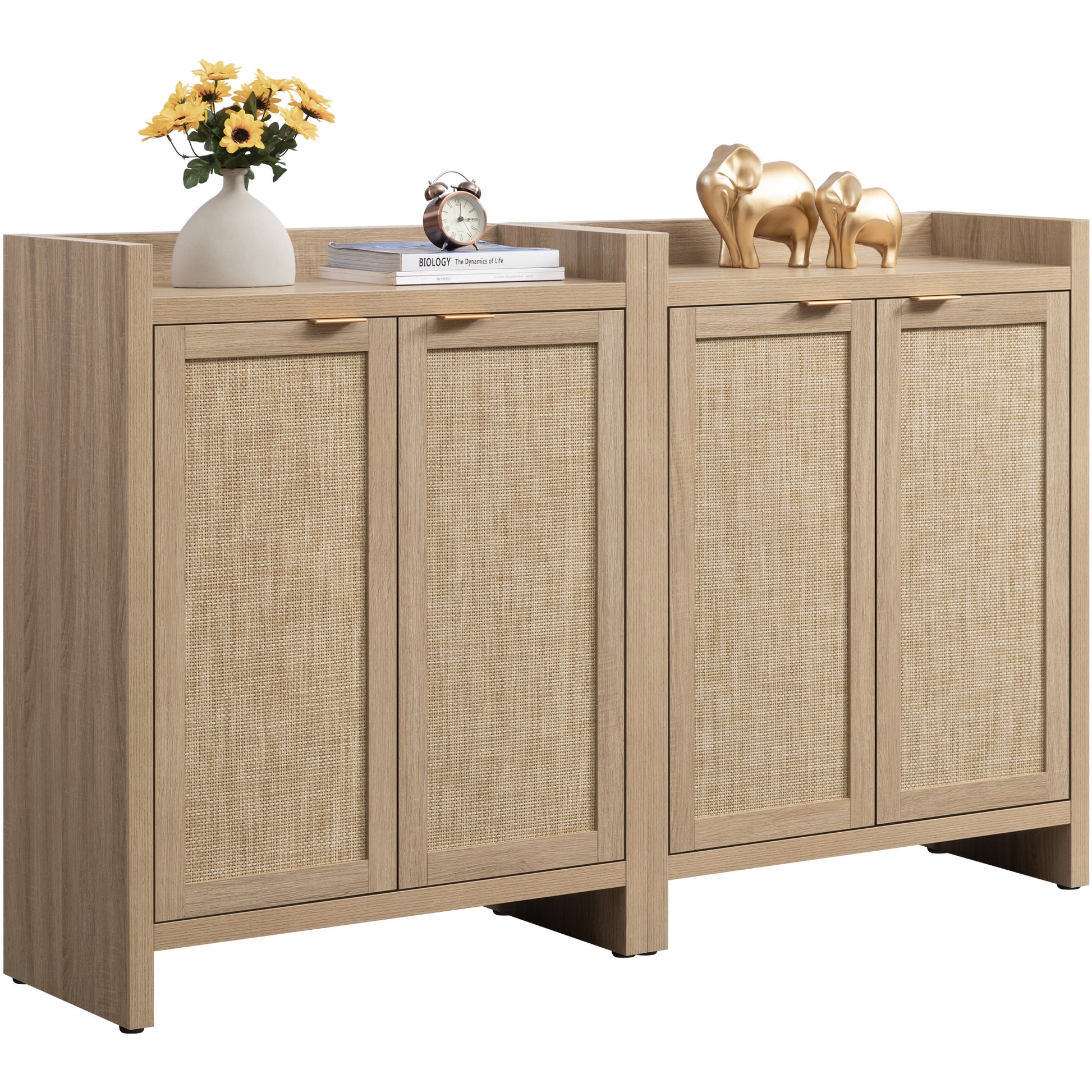 Savanna Shoe Cabinet, 2 Doors