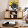 Savanna Black TV Stand - Sicotas